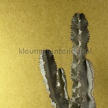 Khroma Havana HAV1004 | Bestellen bij https://www.kleurmijninterieur.nl/
