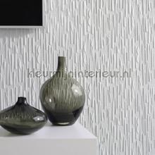 Arte Lincrusta RD 1873 | Bestellen bij https://www.kleurmijninterieur.nl/