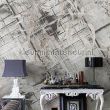 Noordwand Vanilla Lime 14358 | Bestellen bij https://www.kleurmijninterieur.nl/
