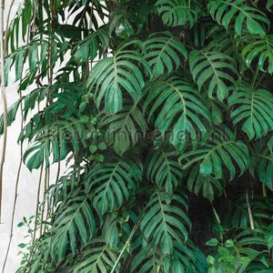 Livingwalls Metropolitan Stories THE WALL 382411 | Bestellen bij https://www.kleurmijninterieur.nl/