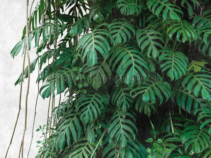 Livingwalls Metropolitan Stories THE WALL 382411 | Bestellen bij https://www.kleurmijninterieur.nl/