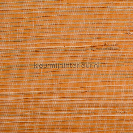 Rodeka Savanna 50-003 | Bestellen bij https://www.kleurmijninterieur.nl/