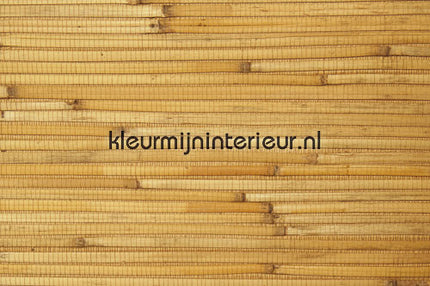 Rodeka Savanna 30-005 | Bestellen bij https://www.kleurmijninterieur.nl/