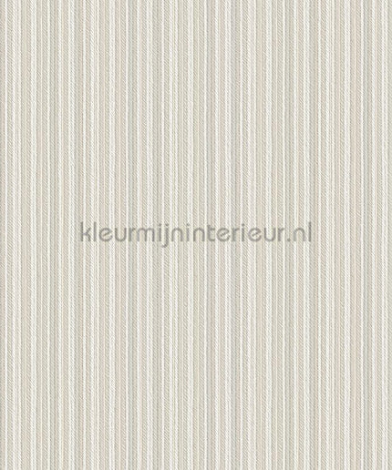 Hookedonwalls Tropical Weave 18848 | Bestellen bij https://www.kleurmijninterieur.nl/