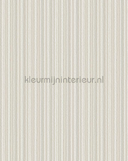 Hookedonwalls Tropical Weave 18848 | Bestellen bij https://www.kleurmijninterieur.nl/