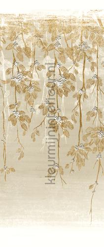 Khroma Kimono DGKIM2021 | Bestellen bij https://www.kleurmijninterieur.nl/