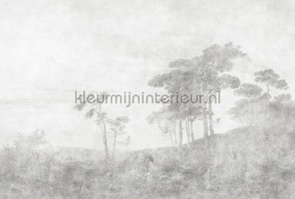 AS Creation Walls by Patel 3 DD121968 | Bestellen bij https://www.kleurmijninterieur.nl/
