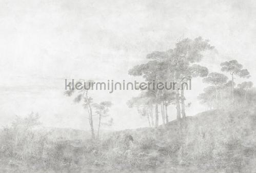 AS Creation Walls by Patel 3 DD121968 | Bestellen bij https://www.kleurmijninterieur.nl/