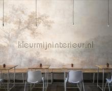AS Creation Walls by Patel 3 DD121972 | Bestellen bij https://www.kleurmijninterieur.nl/