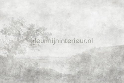 AS Creation Walls by Patel 3 DD121976 | Bestellen bij https://www.kleurmijninterieur.nl/