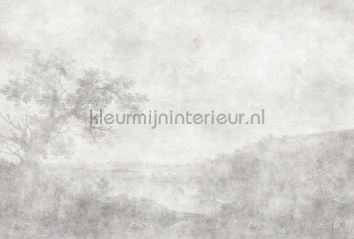 AS Creation Walls by Patel 3 DD121976 | Bestellen bij https://www.kleurmijninterieur.nl/