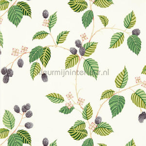 Sanderson Arboretum DABW217227 | Bestellen bij https://www.kleurmijninterieur.nl/