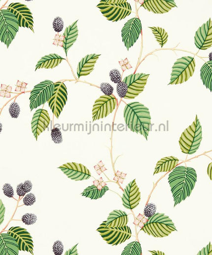 Sanderson Arboretum DABW217227 | Bestellen bij https://www.kleurmijninterieur.nl/