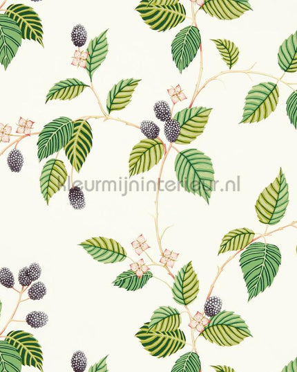 Sanderson Arboretum DABW217227 | Bestellen bij https://www.kleurmijninterieur.nl/