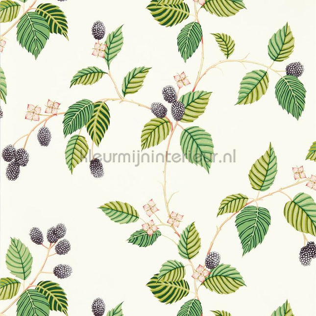 Sanderson Arboretum DABW217227 | Bestellen bij https://www.kleurmijninterieur.nl/