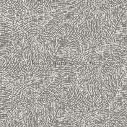Hookedonwalls Leopard Walk 15321 | Bestellen bij https://www.kleurmijninterieur.nl/