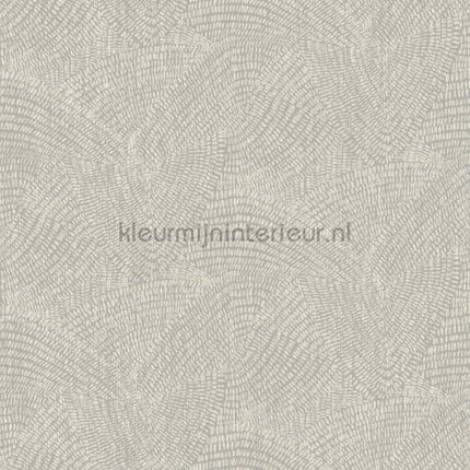 Hookedonwalls Leopard Walk 15322 | Bestellen bij https://www.kleurmijninterieur.nl/