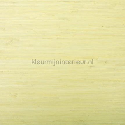 Rodeka Innovations gpw-ivrd-101 | Bestellen bij https://www.kleurmijninterieur.nl/