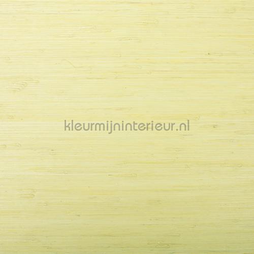 Rodeka Innovations gpw-ivrd-101 | Bestellen bij https://www.kleurmijninterieur.nl/