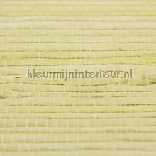 Rodeka Innovations gpw-ivrd-101 | Bestellen bij https://www.kleurmijninterieur.nl/