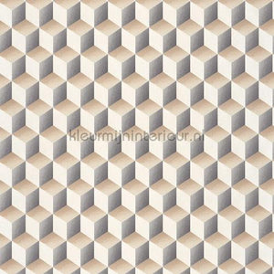 Casadeco Perception PERP86471518 | Bestellen bij https://www.kleurmijninterieur.nl/