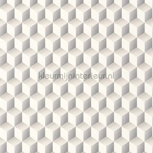 Casadeco Perception PERP86471313 | Bestellen bij https://www.kleurmijninterieur.nl/