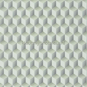 Casadeco Perception PERP86477202 | Bestellen bij https://www.kleurmijninterieur.nl/