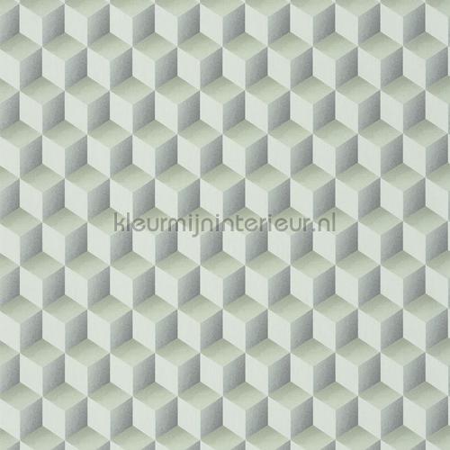 Casadeco Perception PERP86477202 | Bestellen bij https://www.kleurmijninterieur.nl/