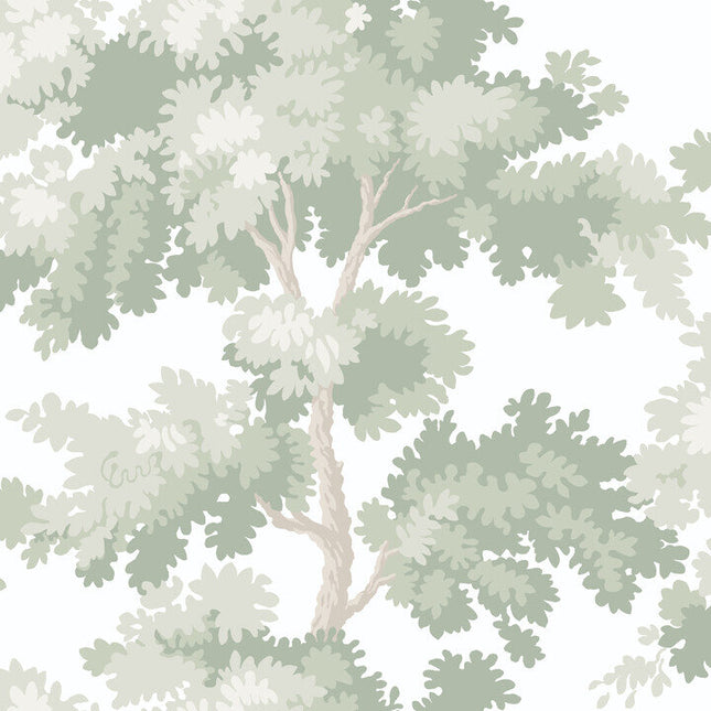 S10381 Sandberg Tidlosa Raphael Light Green
