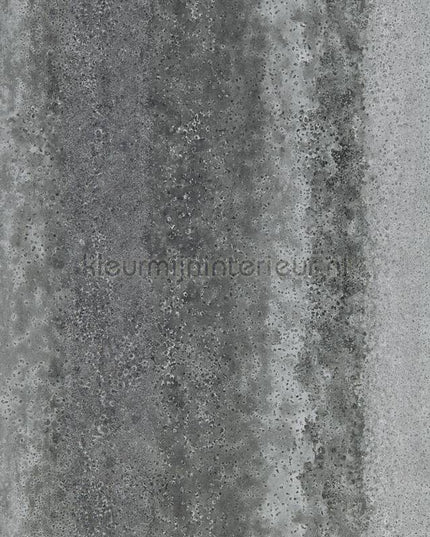 Harlequin Colour 4 EDEF111613 | Bestellen bij https://www.kleurmijninterieur.nl/