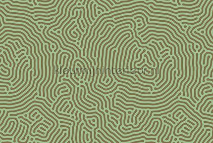 AS Creation Walls by Patel 3 DD122844 | Bestellen bij https://www.kleurmijninterieur.nl/