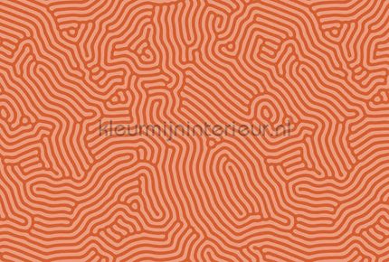 AS Creation Walls by Patel 3 DD122852 | Bestellen bij https://www.kleurmijninterieur.nl/