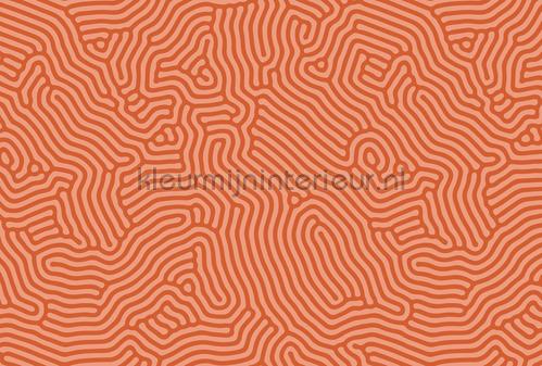 AS Creation Walls by Patel 3 DD122852 | Bestellen bij https://www.kleurmijninterieur.nl/