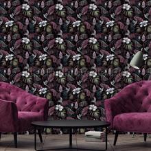 Hookedonwalls Leopard Walk 15302 | Bestellen bij https://www.kleurmijninterieur.nl/
