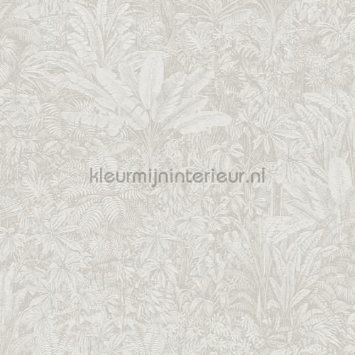 Khroma Cabinet of Curiosities CAB302 | Bestellen bij https://www.kleurmijninterieur.nl/