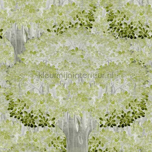 Mindthegap Compendium WP20445 | Bestellen bij https://www.kleurmijninterieur.nl/