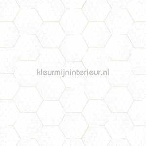 Eijffinger Enso 386580 | Bestellen bij https://www.kleurmijninterieur.nl/