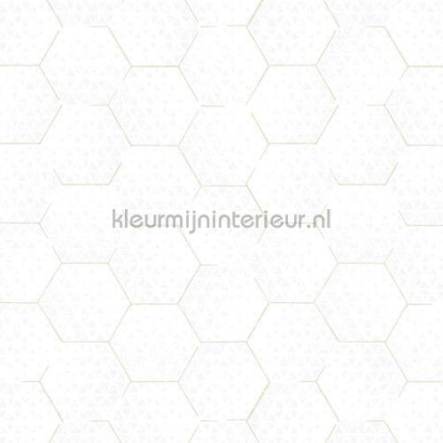 Eijffinger Enso 386580 | Bestellen bij https://www.kleurmijninterieur.nl/
