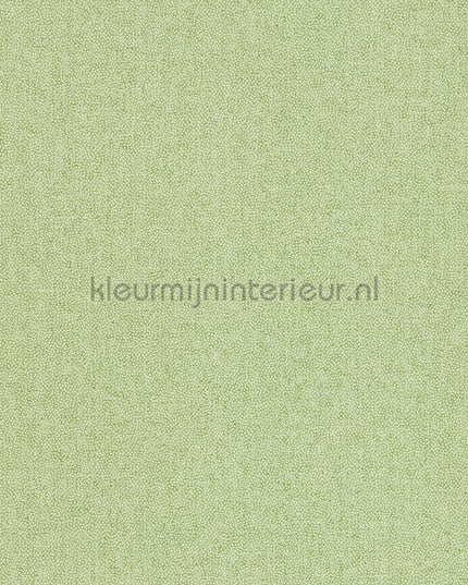 Sanderson Arboretum DABW217248 | Bestellen bij https://www.kleurmijninterieur.nl/