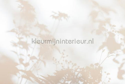 AS Creation Walls by Patel 3 DD122016 | Bestellen bij https://www.kleurmijninterieur.nl/