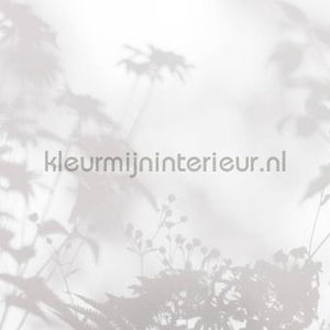 AS Creation Walls by Patel 3 DD122020 | Bestellen bij https://www.kleurmijninterieur.nl/