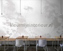 AS Creation Walls by Patel 3 DD122020 | Bestellen bij https://www.kleurmijninterieur.nl/