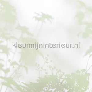 AS Creation Walls by Patel 3 DD122024 | Bestellen bij https://www.kleurmijninterieur.nl/