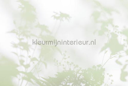 AS Creation Walls by Patel 3 DD122024 | Bestellen bij https://www.kleurmijninterieur.nl/