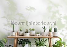 AS Creation Walls by Patel 3 DD122024 | Bestellen bij https://www.kleurmijninterieur.nl/