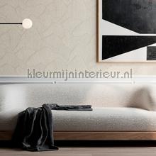Arte Sculptura 42502 | Bestellen bij https://www.kleurmijninterieur.nl/