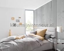 Architects Paper AP Digital 4 dd108625 | Bestellen bij https://www.kleurmijninterieur.nl/