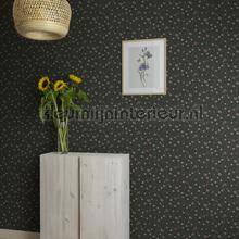 Sandberg Huset i solen S10158 | Bestellen bij https://www.kleurmijninterieur.nl/