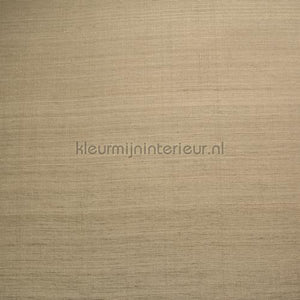 DWC Silk silk-00 | Bestellen bij https://www.kleurmijninterieur.nl/