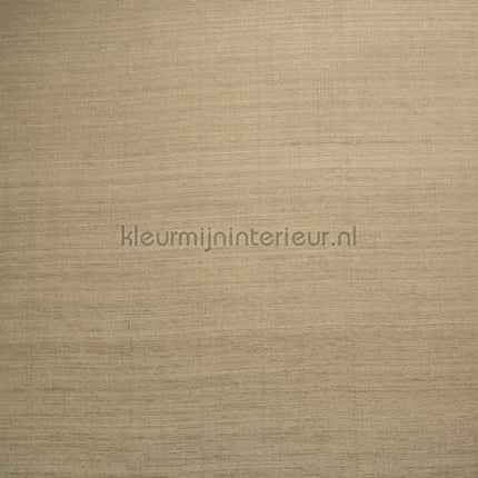 DWC Silk silk-00 | Bestellen bij https://www.kleurmijninterieur.nl/